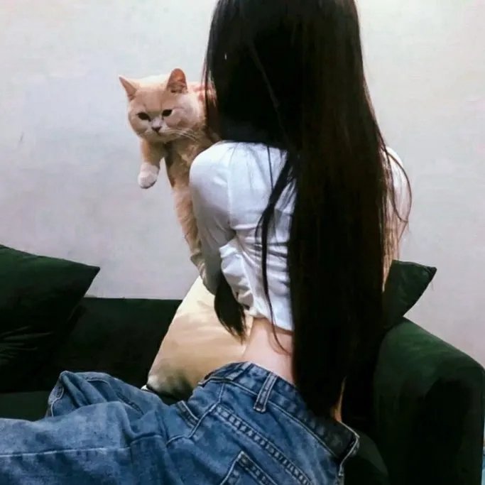 爱情呼叫转移